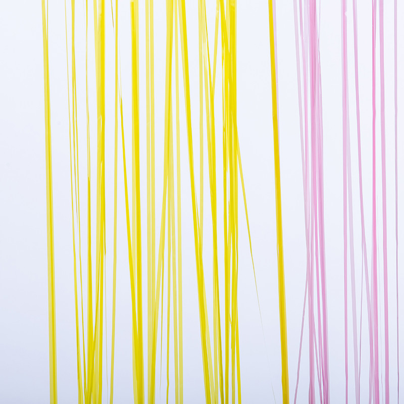 Macaron Colorful Fringe Backdrop Yellow Blue Pink Streamer Curtain